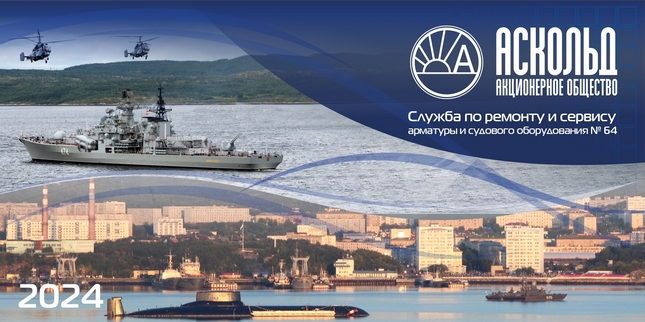 День военно-морского флота в Североморске
